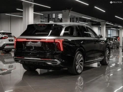 Hongqi E-HS9 2