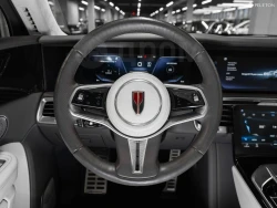 Hongqi E-HS9 5