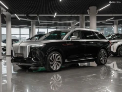 Hongqi E-HS9 6