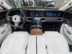 Hongqi E-HS9 28